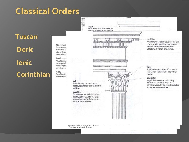 Classical Orders Tuscan Doric Ionic Corinthian 