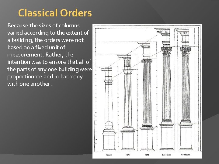 Classical Orders Because the sizes of columns varied according to the extent of a