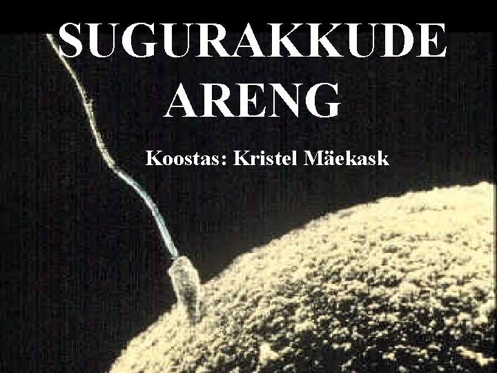 SUGURAKKUDE ARENG Koostas: Kristel Mäekask 