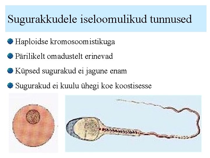 Sugurakkudele iseloomulikud tunnused Haploidse kromosoomistikuga Pärilikelt omadustelt erinevad Küpsed sugurakud ei jagune enam Sugurakud