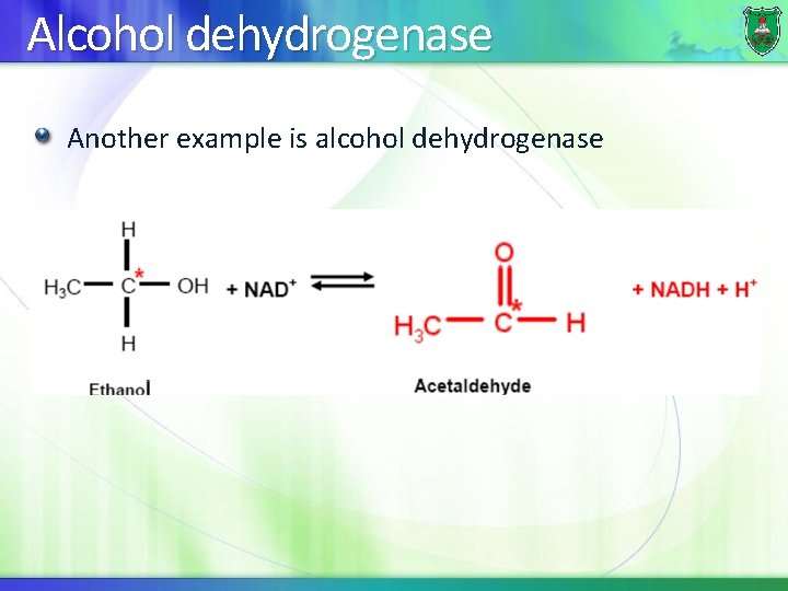 Alcohol dehydrogenase Another example is alcohol dehydrogenase 