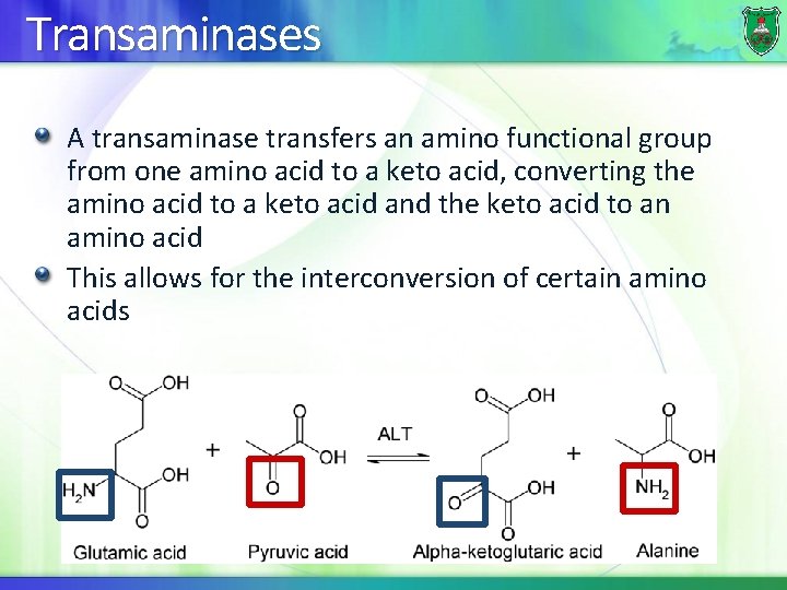 Transaminases A transaminase transfers an amino functional group from one amino acid to a