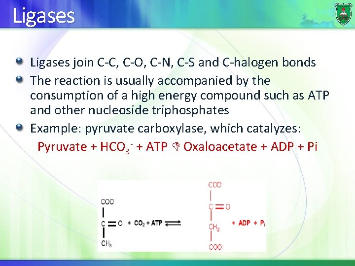Ligases join C-C, C-O, C-N, C-S and C-halogen bonds The reaction is usually accompanied