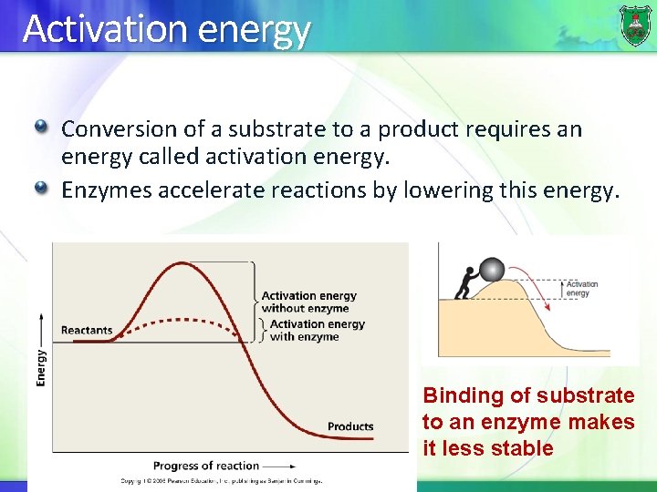 Activation energy Conversion of a substrate to a product requires an energy called activation