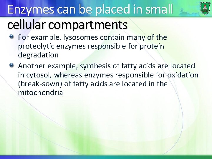 Enzymes can be placed in small cellular compartments For example, lysosomes contain many of