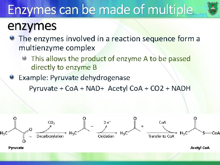 Enzymes can be made of multiple enzymes The enzymes involved in a reaction sequence