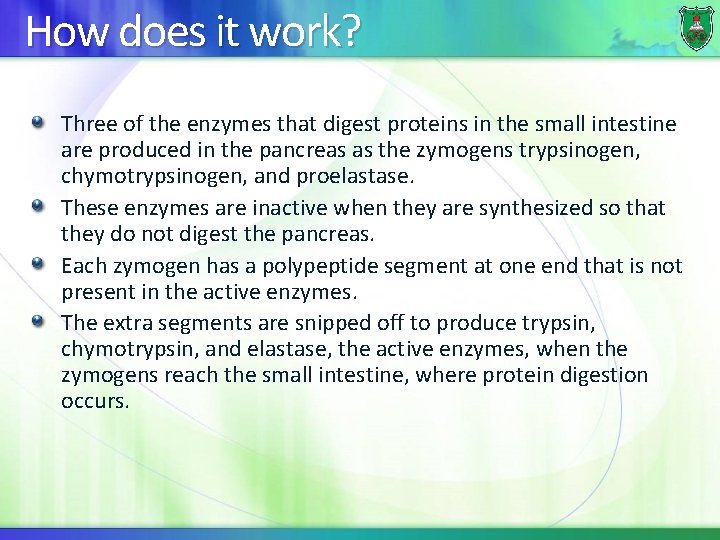 How does it work? Three of the enzymes that digest proteins in the small