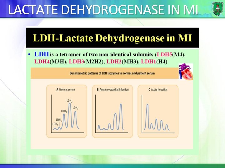 LACTATE DEHYDROGENASE IN MI 