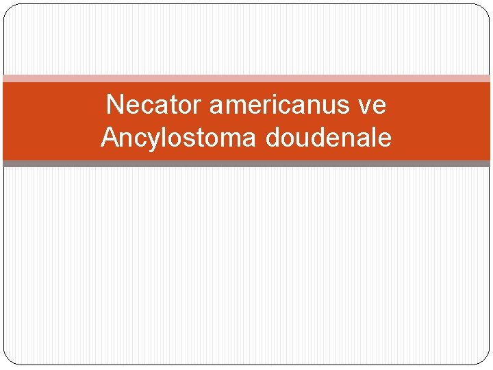 Necator americanus ve Ancylostoma doudenale 