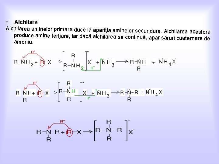  • Alchilarea aminelor primare duce la apariţia aminelor secundare. Alc hilarea acestora produce