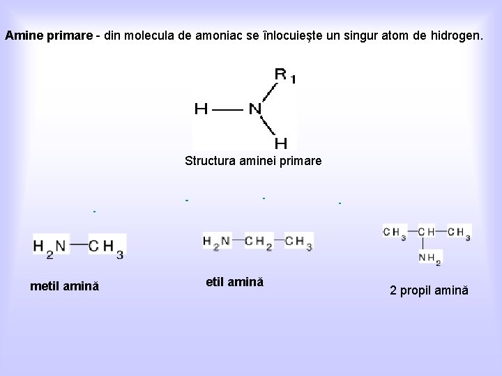 Amine primare - din molecula de amoniac se înlocuieşte un singur atom de hidrogen.