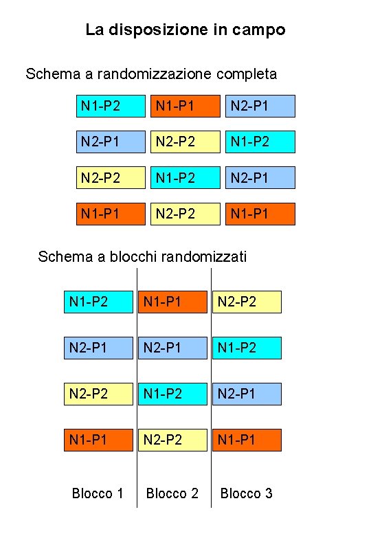 La disposizione in campo Schema a randomizzazione completa N 1 -P 2 N 1