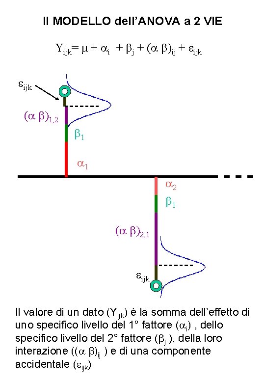 Il MODELLO dell’ANOVA a 2 VIE Yijk= + i + j + ( )ij