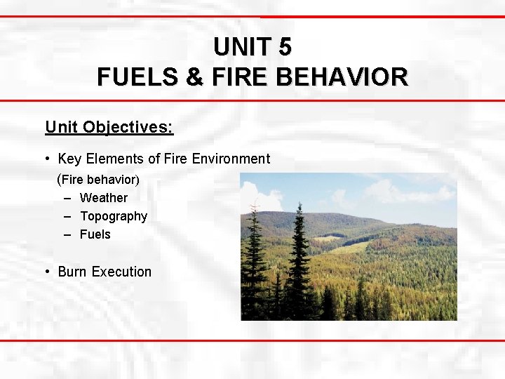UNIT 5 FUELS & FIRE BEHAVIOR Unit Objectives: • Key Elements of Fire Environment