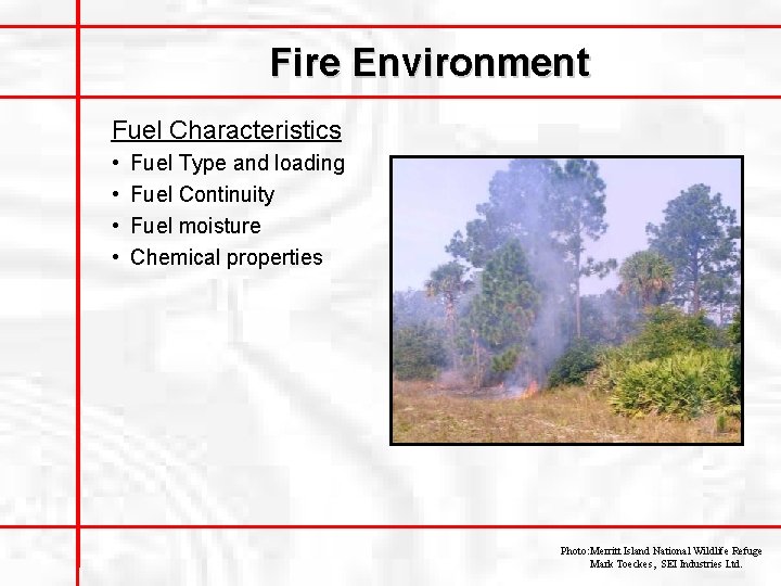 Fire Environment Fuel Characteristics • • Fuel Type and loading Fuel Continuity Fuel moisture