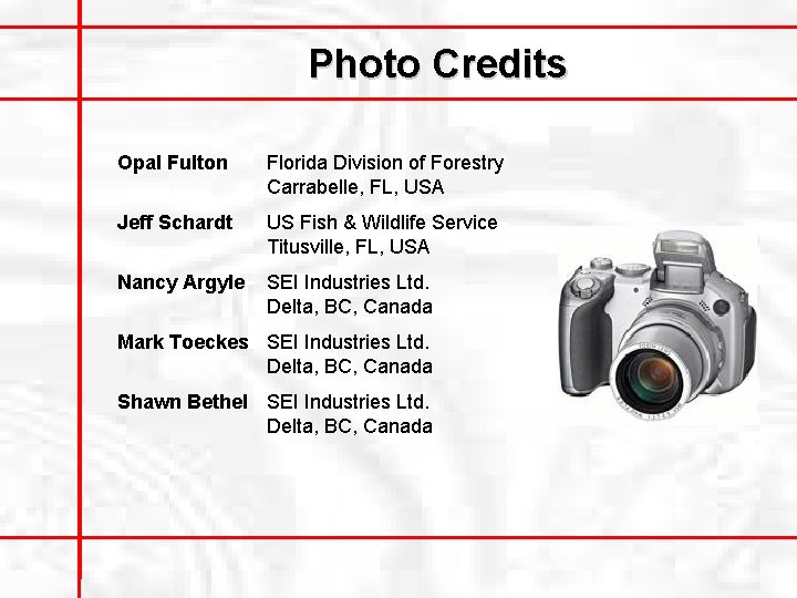 Photo Credits Opal Fulton Florida Division of Forestry Carrabelle, FL, USA Jeff Schardt US