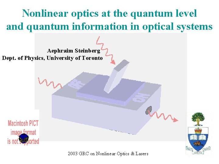 Nonlinear optics at the quantum level and quantum