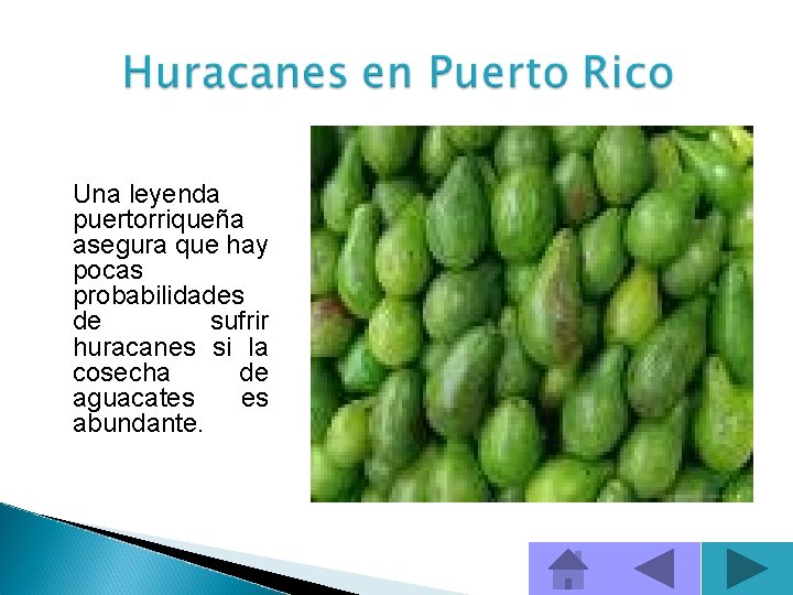 Una leyenda puertorriqueña asegura que hay pocas probabilidades de sufrir huracanes si la cosecha