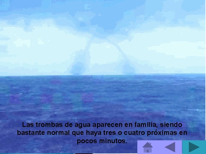 Las trombas de agua aparecen en familia, siendo bastante normal que haya tres o