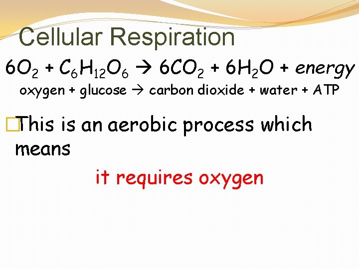 Cellular Respiration 6 O 2 + C 6 H 12 O 6 6 CO