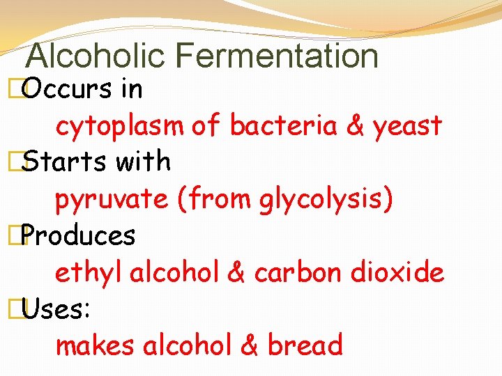 Alcoholic Fermentation �Occurs in cytoplasm of bacteria & yeast �Starts with pyruvate (from glycolysis)