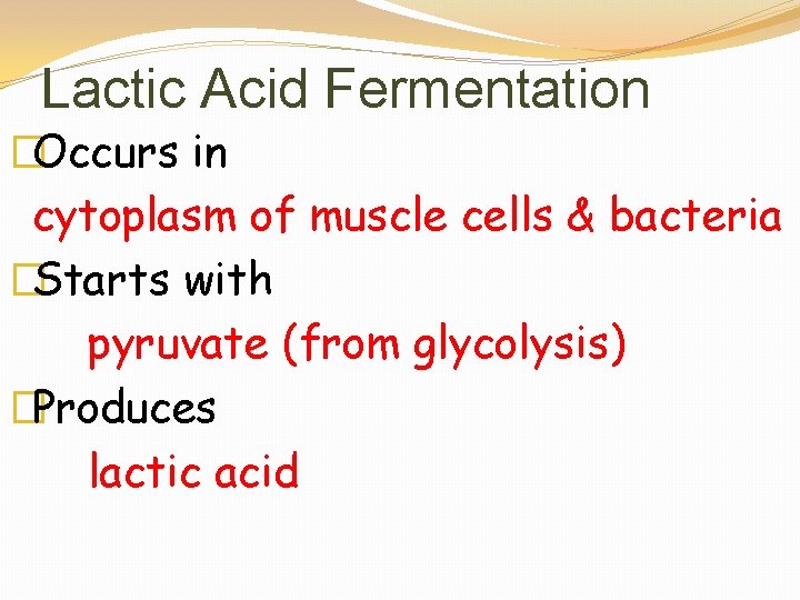 Lactic Acid Fermentation �Occurs in cytoplasm of muscle cells & bacteria �Starts with pyruvate