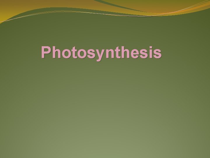 Photosynthesis 