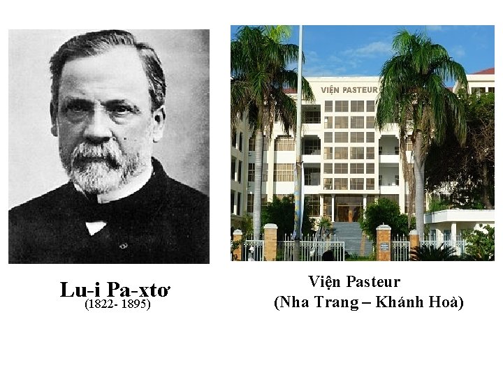 Lu-i Pa-xtơ (1822 - 1895) Viện Pasteur (Nha Trang – Khánh Hoà) 