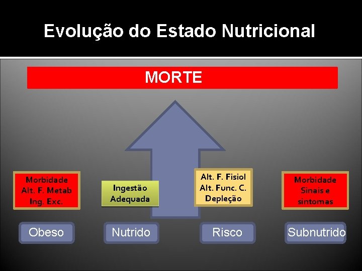Evolução do Estado Nutricional MORTE Morbidade Alt. F. Metab Ing. Exc. Ingestão Adequada Obeso