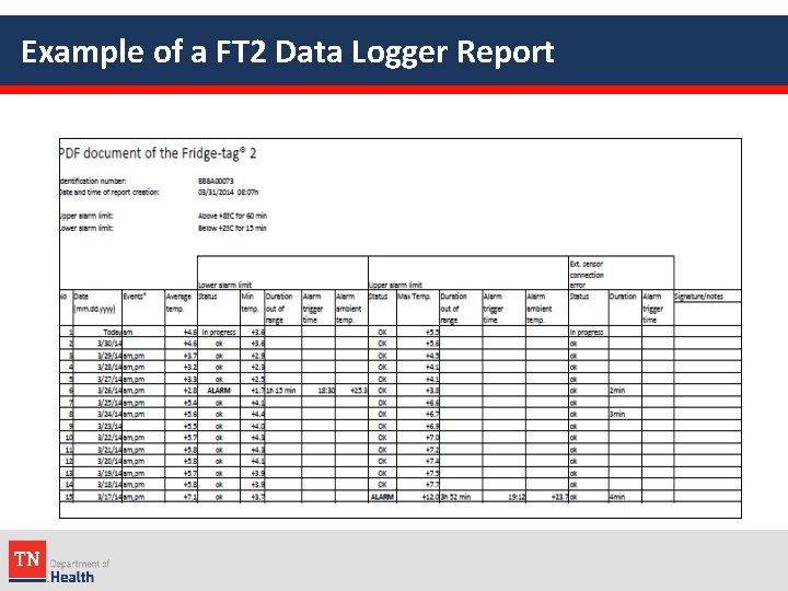 Example of a FT 2 Data Logger Report 