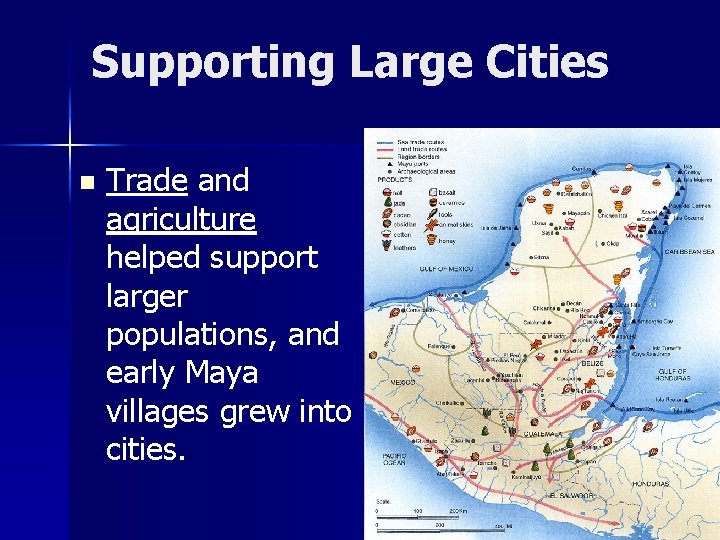 Supporting Large Cities n Trade and agriculture helped support larger populations, and early Maya