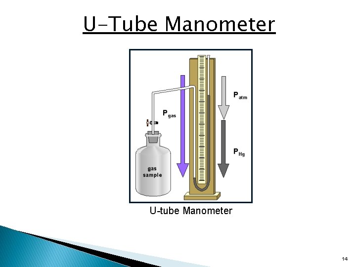 U-Tube Manometer U-tube Manometer 14 