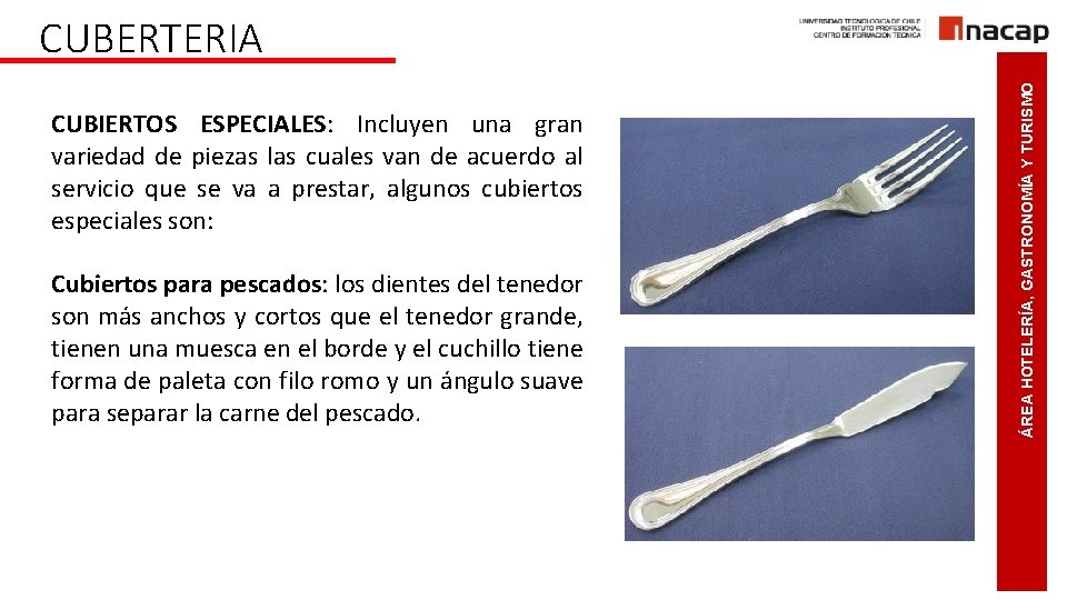 CUBIERTOS ESPECIALES: Incluyen una gran variedad de piezas las cuales van de acuerdo al