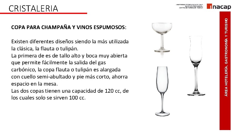 COPA PARA CHAMPAÑA Y VINOS ESPUMOSOS: Existen diferentes diseños siendo la más utilizada la