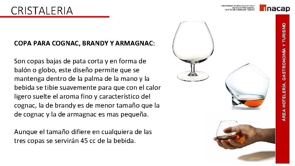 COPA PARA COGNAC, BRANDY Y ARMAGNAC: Son copas bajas de pata corta y en