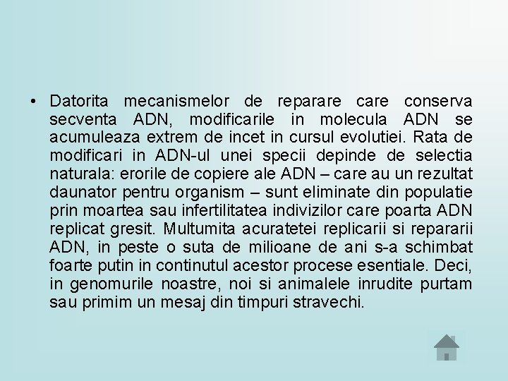  • Datorita mecanismelor de reparare conserva secventa ADN, modificarile in molecula ADN se