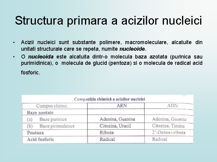 Structura primara a acizilor nucleici • • Acizii nucleici sunt substante polimere, macromoleculare, alcatuite