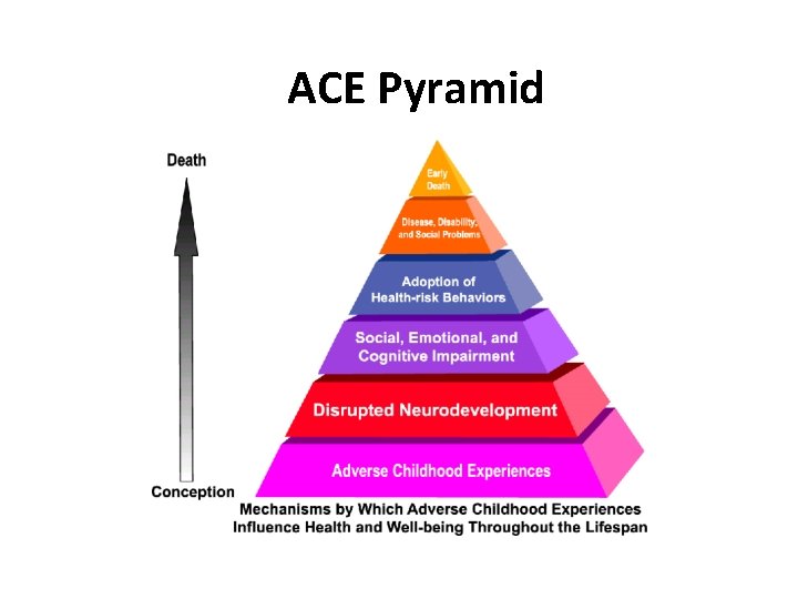 ACE Pyramid 