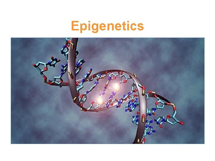 Epigenetics 