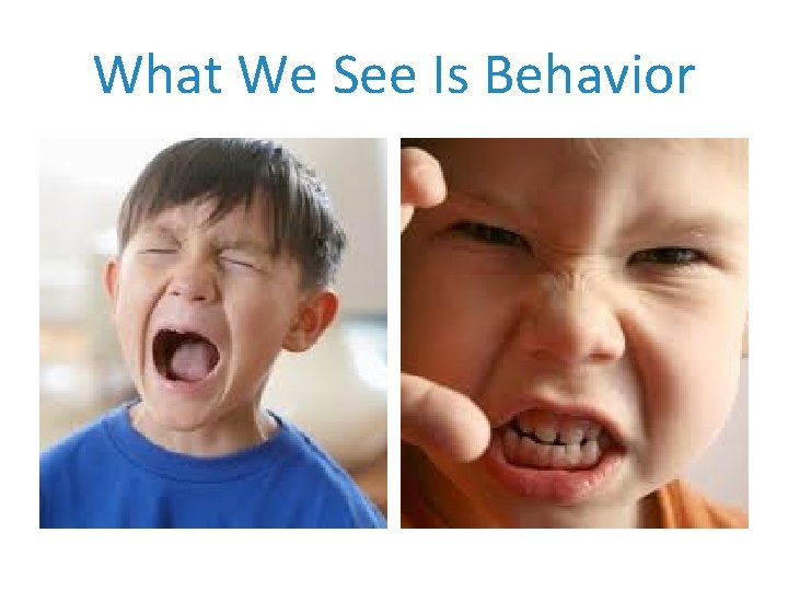 What We See Is Behavior 