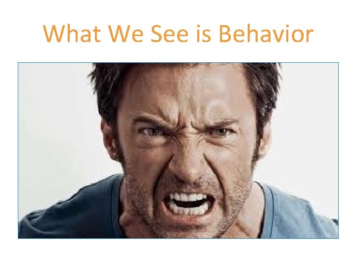 What We See is Behavior 