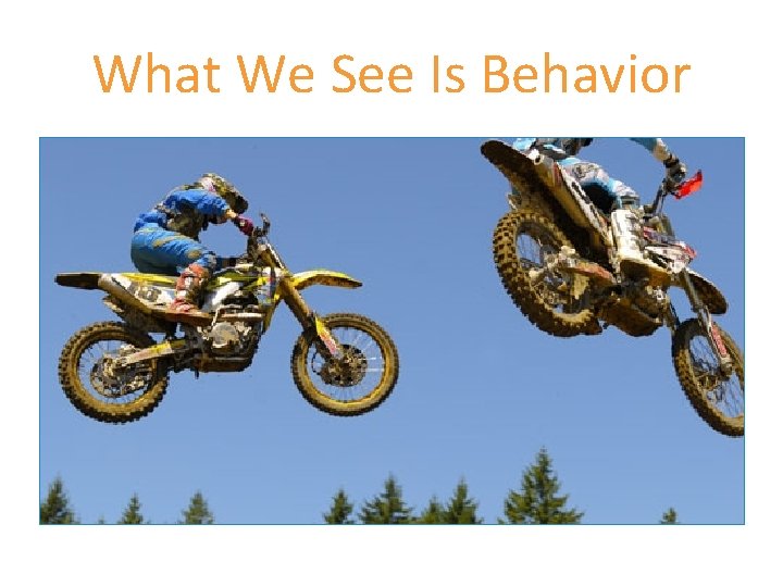 What We See Is Behavior 