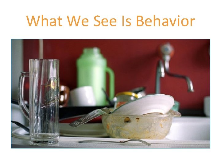 What We See Is Behavior 