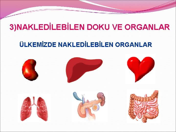 3)NAKLEDİLEBİLEN DOKU VE ORGANLAR ÜLKEMİZDE NAKLEDİLEBİLEN ORGANLAR 