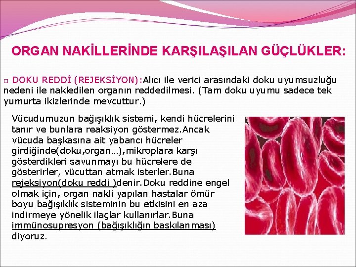 ORGAN NAKİLLERİNDE KARŞILAN GÜÇLÜKLER: □ DOKU REDDİ (REJEKSİYON): Alıcı ile verici arasındaki doku uyumsuzluğu