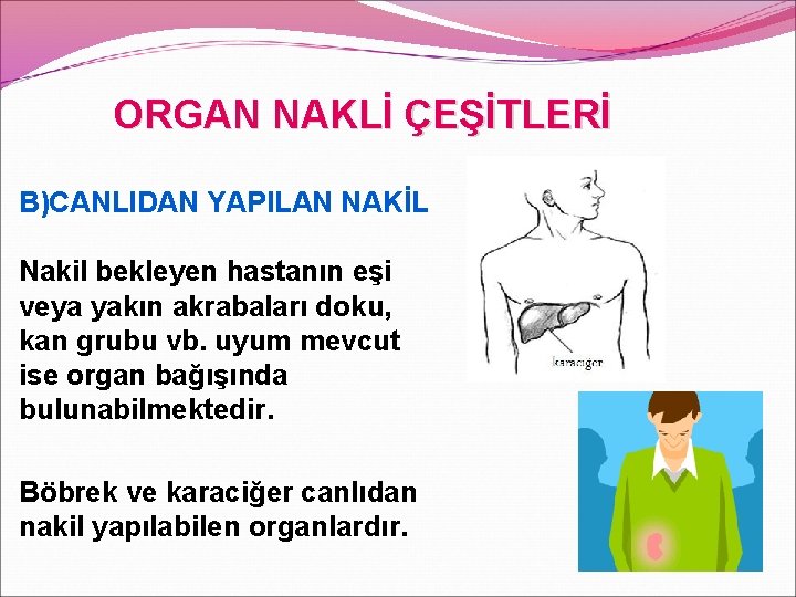 ORGAN NAKLİ ÇEŞİTLERİ B)CANLIDAN YAPILAN NAKİL Nakil bekleyen hastanın eşi veya yakın akrabaları doku,