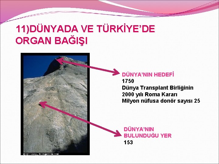 11)DÜNYADA VE TÜRKİYE’DE ORGAN BAĞIŞI DÜNYA’NIN HEDEFİ 1750 Dünya Transplant Birliğinin 2000 yılı Roma