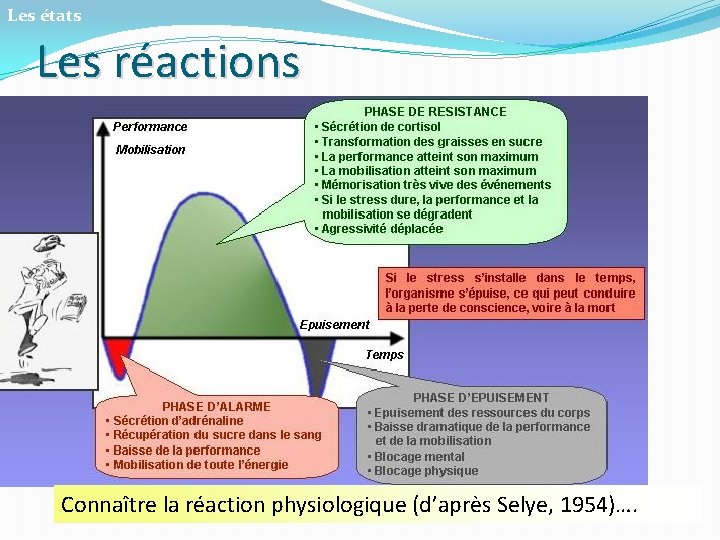 Les états Les réactions Connaître la réaction physiologique (d’après Selye, 1954)…. 