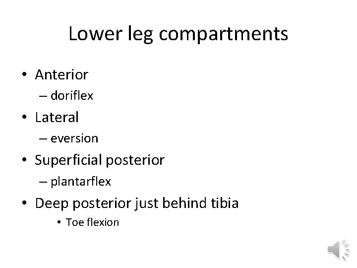 Lower leg compartments • Anterior – doriflex • Lateral – eversion • Superficial posterior