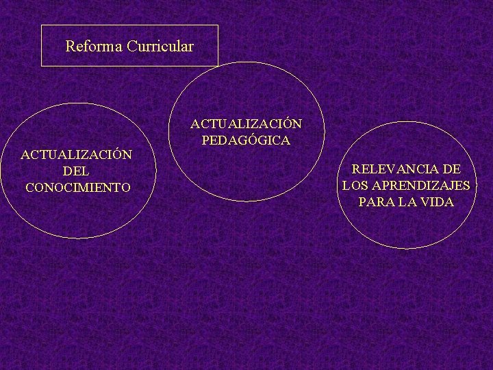 Reforma Curricular ACTUALIZACIÓN DEL CONOCIMIENTO ACTUALIZACIÓN PEDAGÓGICA RELEVANCIA DE LOS APRENDIZAJES PARA LA VIDA